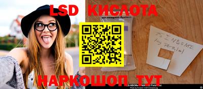 молекула духа Новозыбков