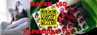 молекула духа Новозыбков