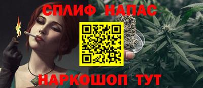 молекула духа Новозыбков
