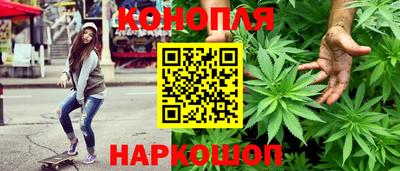 молекула духа Новозыбков