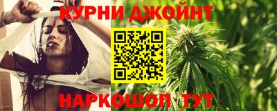 молекула духа Новозыбков