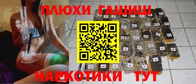 молекула духа Новозыбков