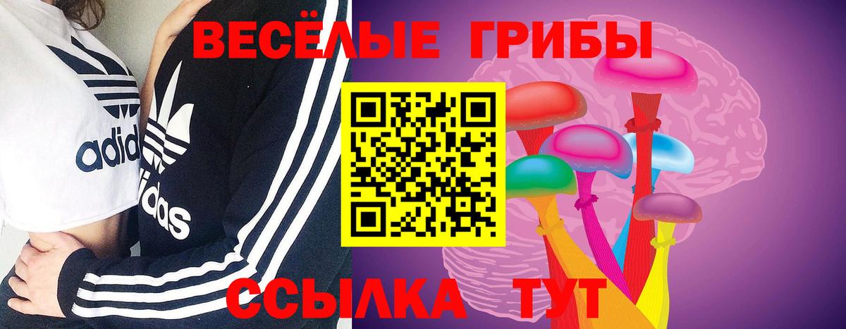 Галлюциногенные грибы MAGIC MUSHROOMS Волоколамск